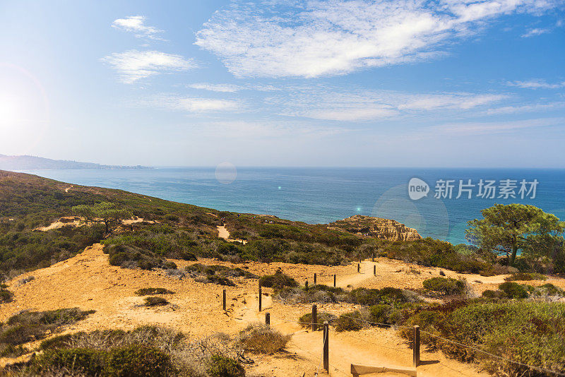 Torrey Pines州立保护区和黑海滩，圣地亚哥